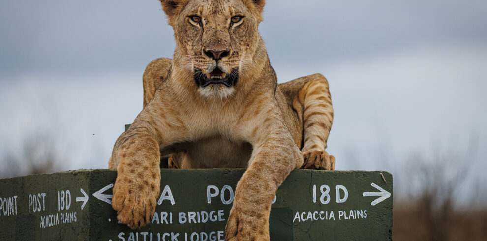 lumo wildlife conservancy entrance fees
