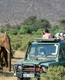 Tsavo West National Park