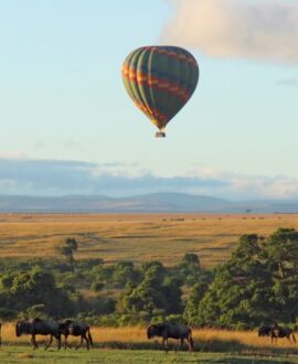 Hot Air Ballooning