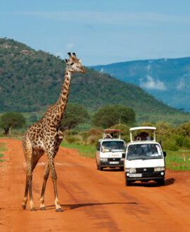 Tsavo East National Park