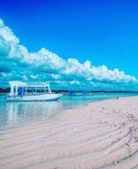 Boat Trips & Tours