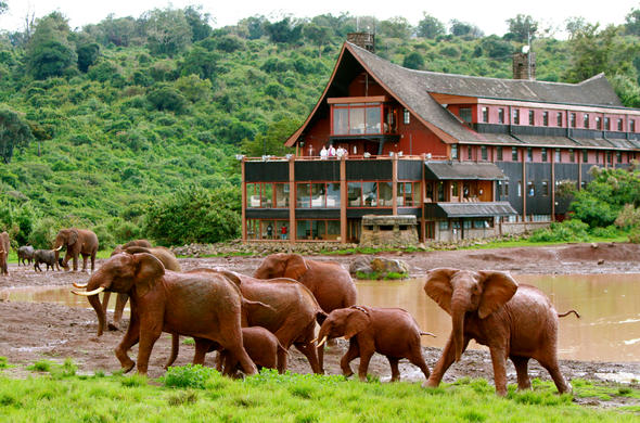 aberdare game safari packages from Nairobi
