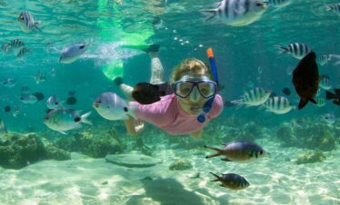 Chale Island snorkeling day tour