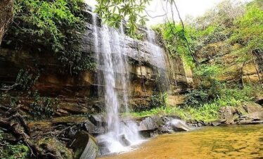 Sheldrick waterfall shimba hills day trip