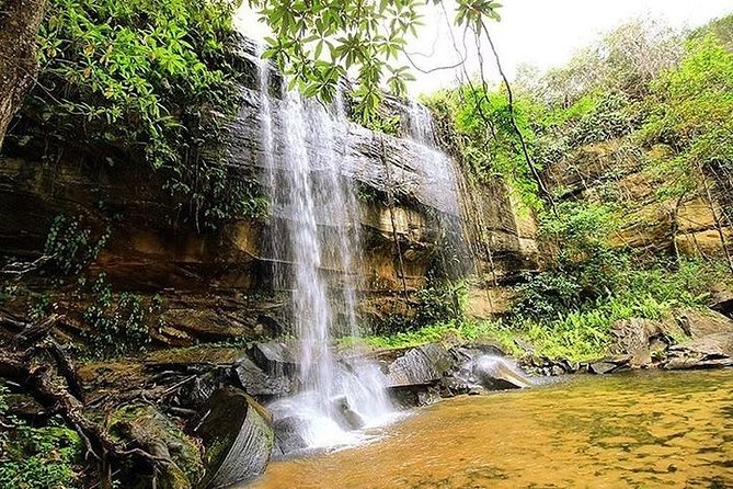 Sheldrick waterfall shimba hills day trip