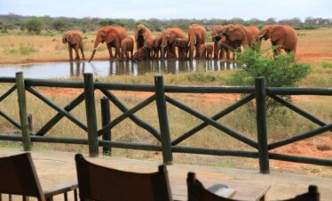 2 Days Tsavo East safari from Mombasa