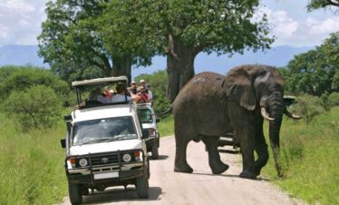 Tsavo Jeep Safari from Diani Beach