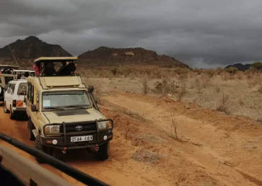 Diani Beach safari packages