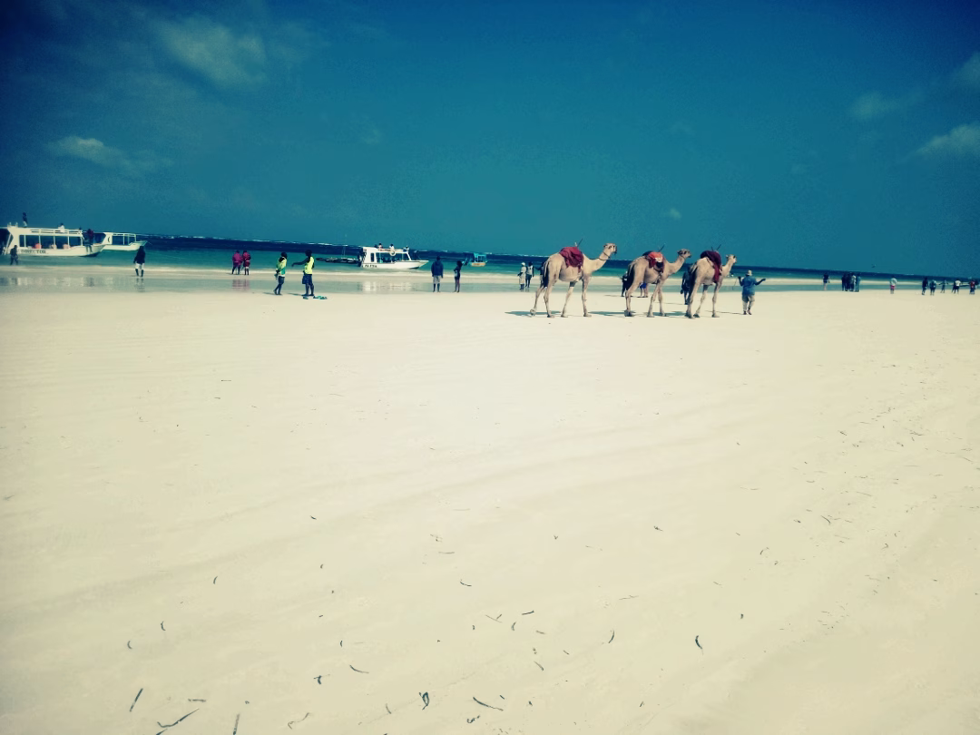 Diani Beach Glass Bottom Boat Tour
