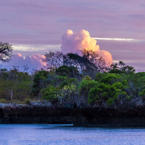 Chale Island Resort Day Pass