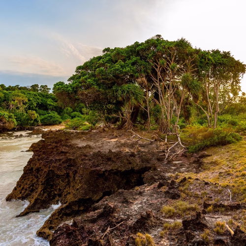 Chale Island Day Tour