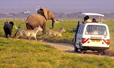 Diani Tours and Safaris-Tsavo East