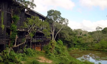 Guided safari to Shimba Hills from Diani