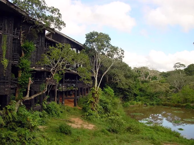 Guided safari to Shimba Hills from Diani
