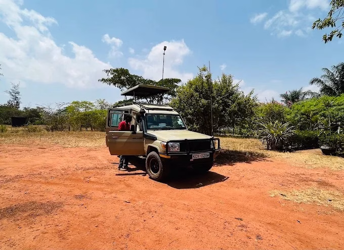 Family-friendly day safari from Mombasa