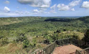 Panoramic view of Shimba Hills National Reserve from an elevated viewpoint