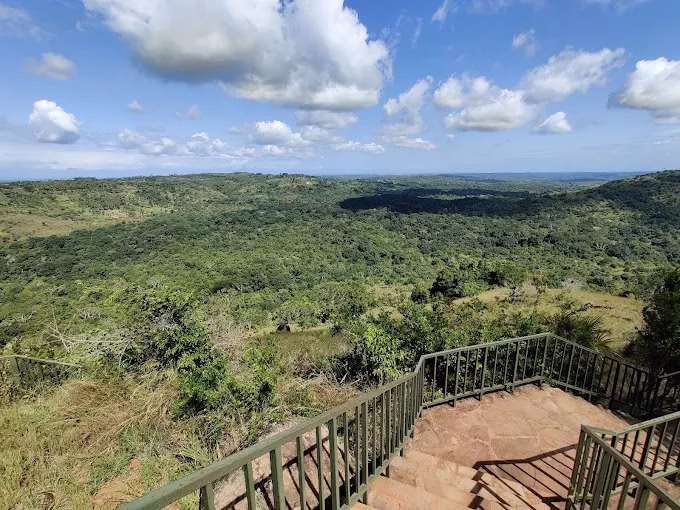 Panoramic view of Shimba Hills National Reserve from an elevated viewpoint