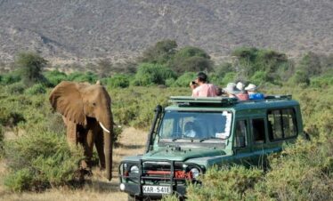 Diani Safaris-Tsavo East Day tour