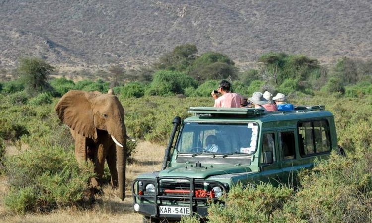 Diani Safaris-Tsavo East Day tour