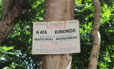 Kaya kinondo diani tour packages