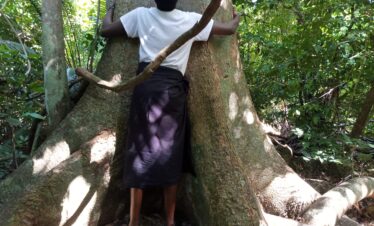 Kaya kinondo diani hiking tours