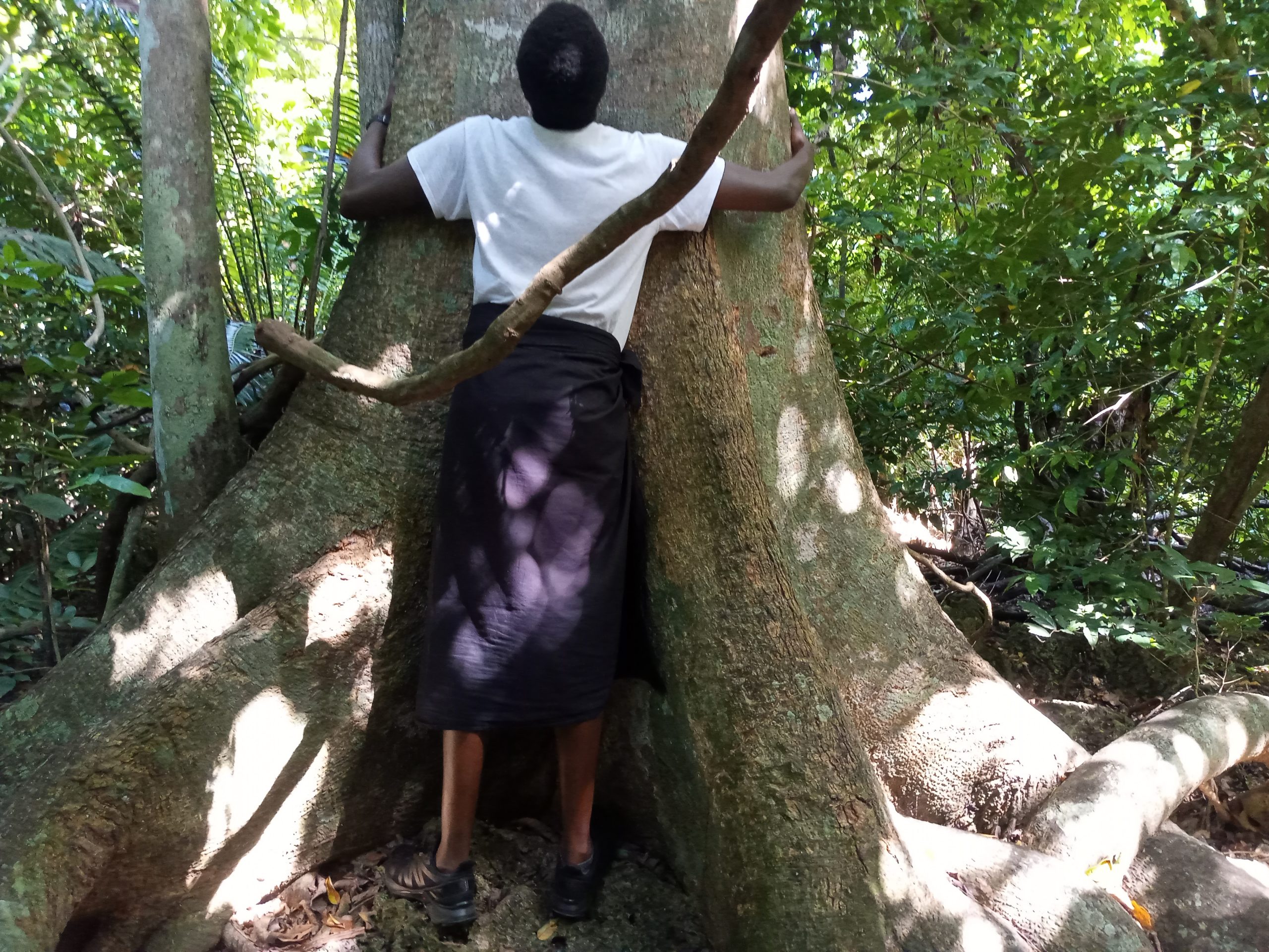 Kaya kinondo diani hiking tours