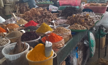 Mombasa sightseeing tour