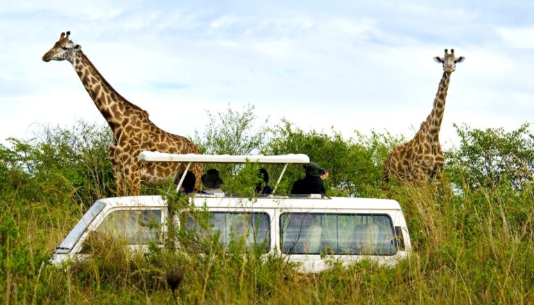 Kenya Safari Destinations