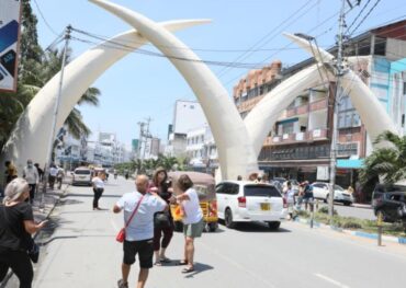 Mombasa Elephant Tusks | Mombasa City Tour from Diani