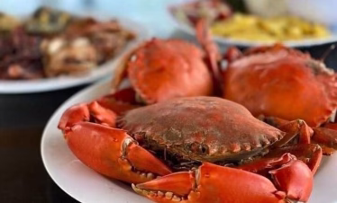 Swahili-style seafood lunch served on Wasini Island during Kenya coast marine tour