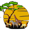 Exciting Tours & Safaris from Diani, Diani Tours and Safaris | Wity Tours & Safaris| Diani Travel Agency, Affordable Kenya Safari Packages.