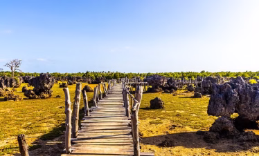 Tourists walking through Wasini Island village and coral garden on a cultural day tour