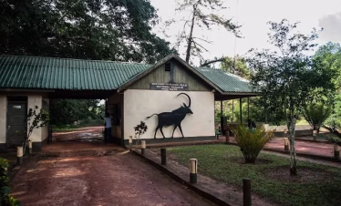 Day tour to Shimba Hills National Reserve