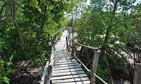 Gazi Board walk diani beach