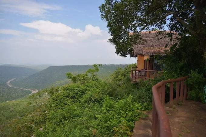 Outdoor lunch setup with views of forest at Green Safari Lodge in Shimba Hills