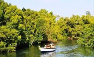 Funzi Island day tour from Diani Mombasa