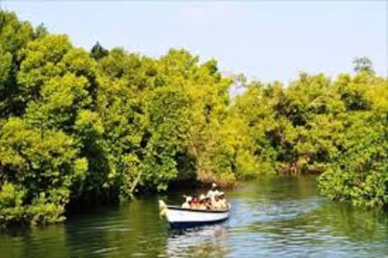 Funzi Island day tour from Diani Mombasa