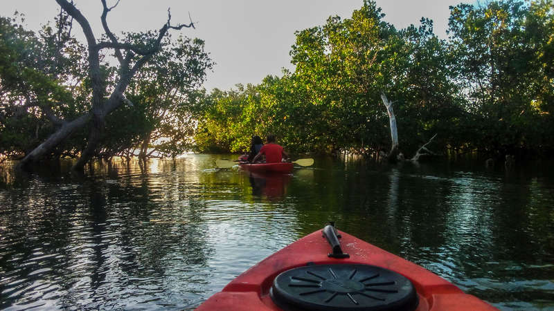 Diani Boat Tours