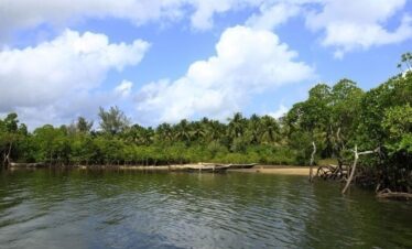 Diani day tours and excursions