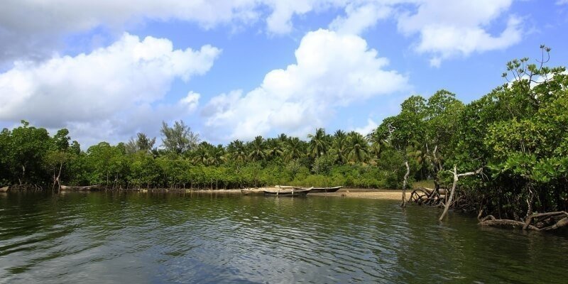 Diani day tours and excursions