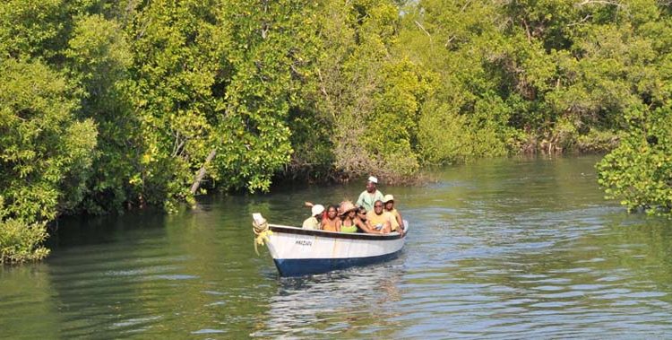 Funzi Island day tour from Mombasa