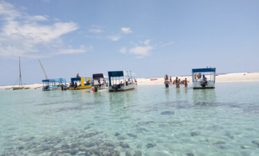 half day glass boat tour in diani