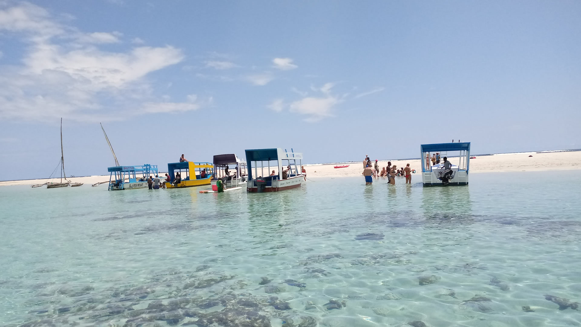 half day glass boat tour in diani