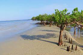 Mombasa day tours and excursions