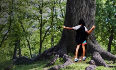 Diani Beach Kaya Kinondo sacred forest day hike