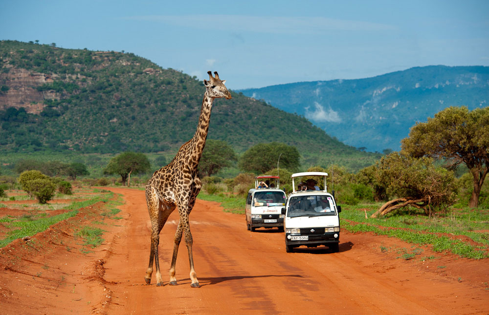 Diani Tsavo East Safari