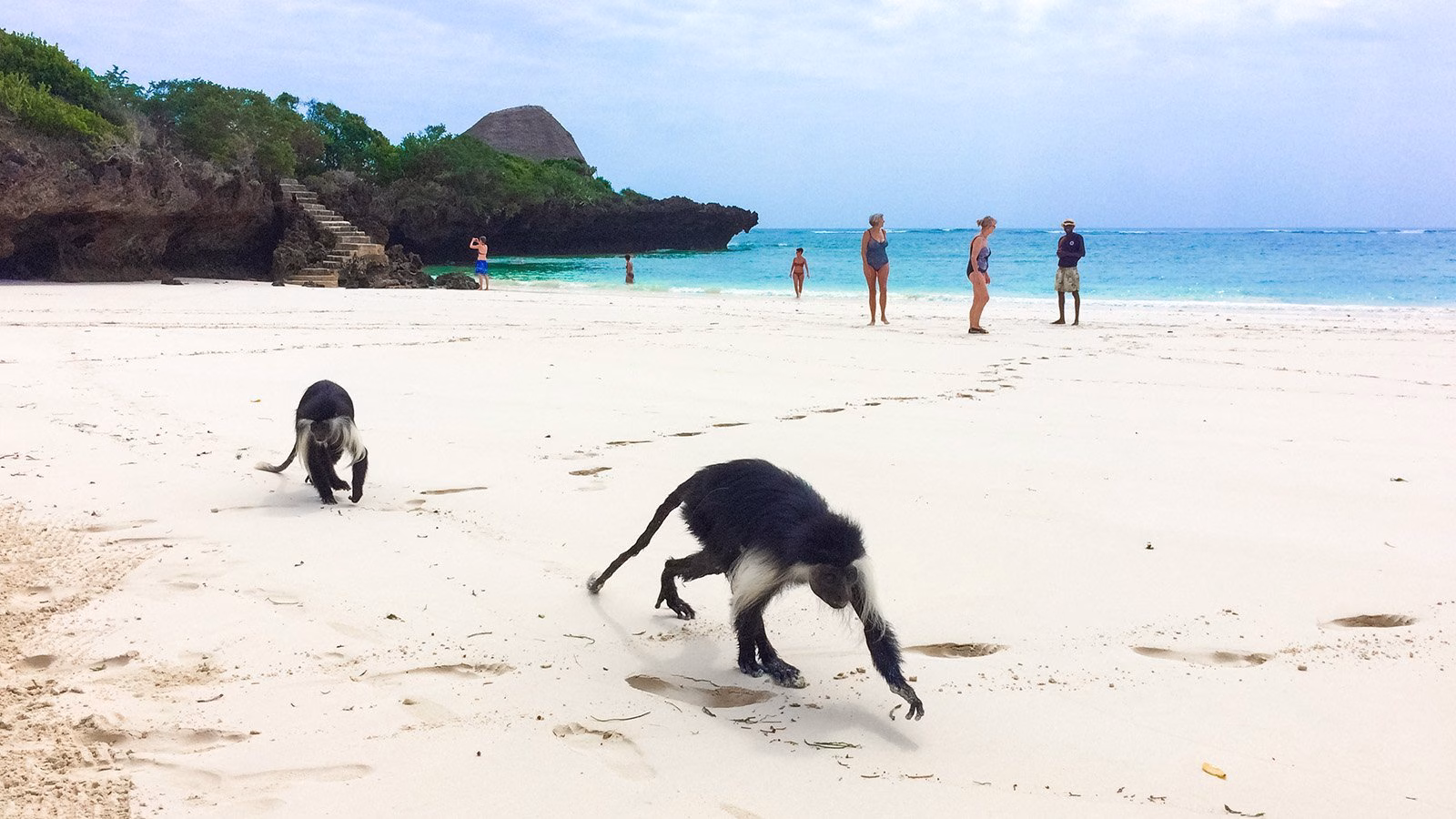 Chale Island Tour from Diani Beach