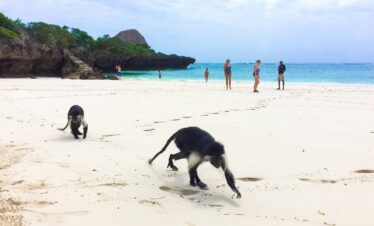Sands at Chale Island