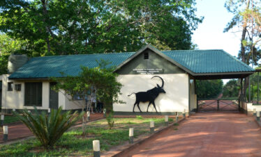 Shimba hills safari packages