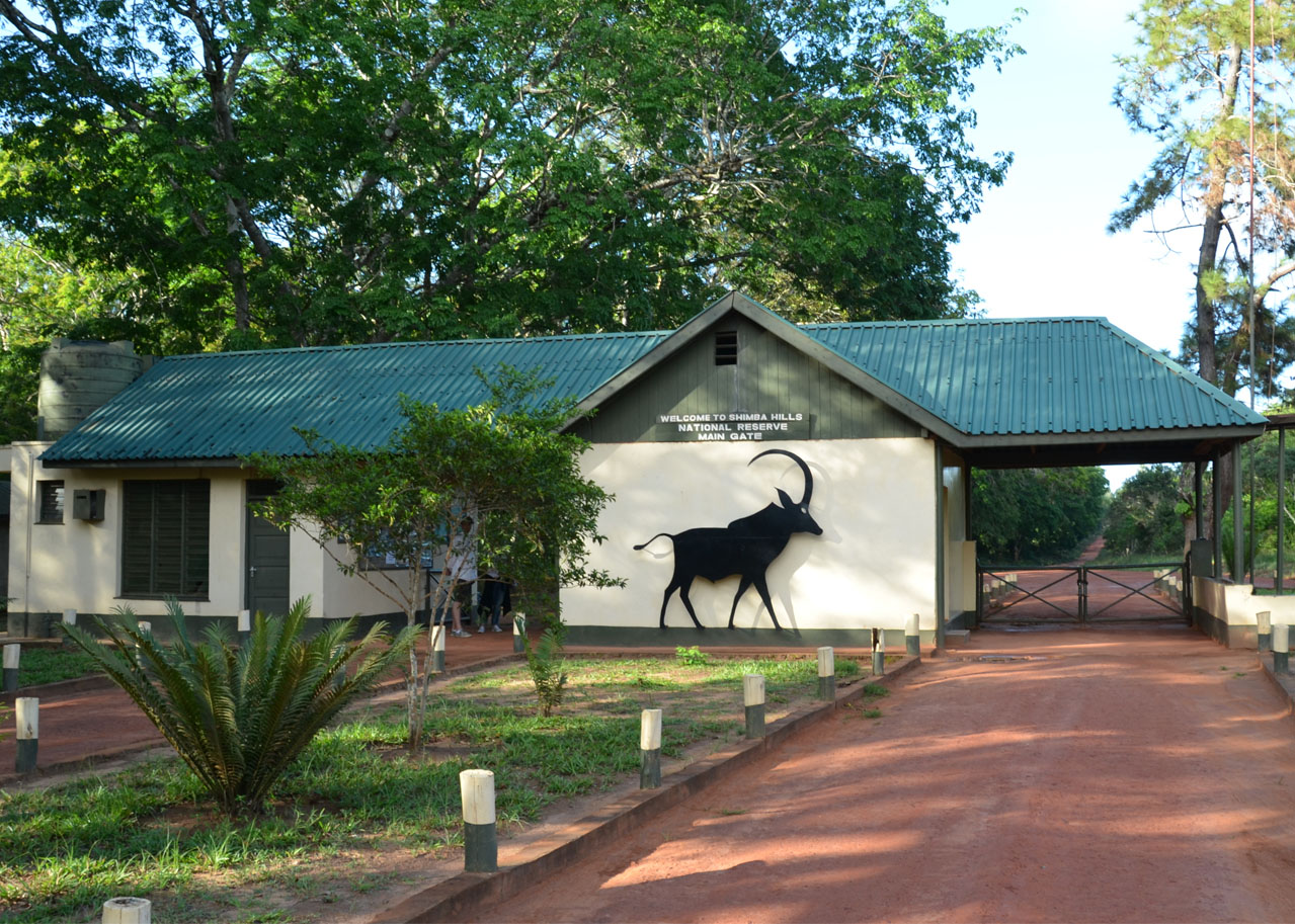 Shimba hills safari packages